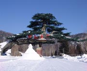 爱民天气预报10天